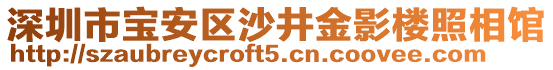 深圳市寶安區(qū)沙井金影樓照相館