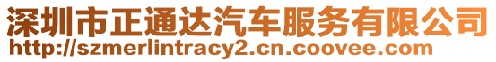 深圳市正通達汽車服務有限公司