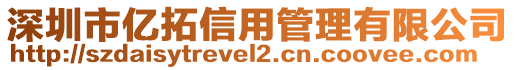 深圳市億拓信用管理有限公司