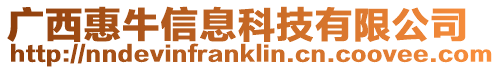 廣西惠牛信息科技有限公司