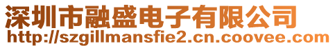 深圳市融盛電子有限公司