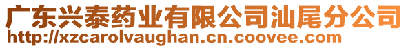 廣東興泰藥業有限公司汕尾分公司
