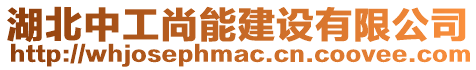湖北中工尚能建設有限公司