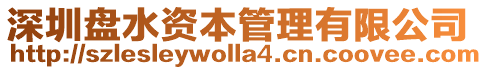 深圳盤水資本管理有限公司