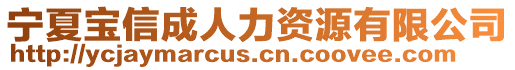 寧夏寶信成人力資源有限公司