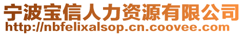 寧波寶信人力資源有限公司
