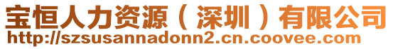 寶恒人力資源(深圳)有限公司