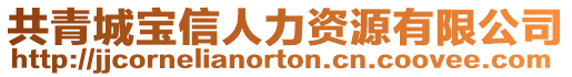 共青城寶信人力資源有限公司