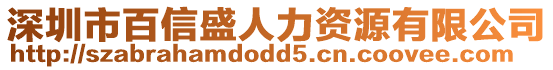 深圳市百信盛人力資源有限公司