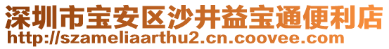 深圳市寶安區沙井益寶通便利店