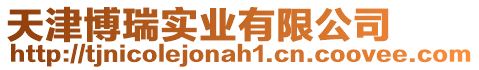 天津博瑞實(shí)業(yè)有限公司
