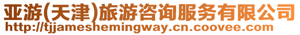亞游(天津)旅游咨詢服務有限公司