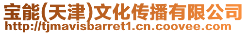 寶能(天津)文化傳播有限公司