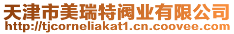 天津市美瑞特閥業(yè)有限公司