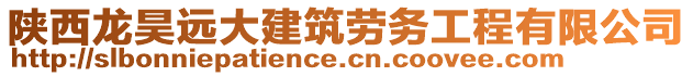 陜西龍昊遠大建筑勞務工程有限公司