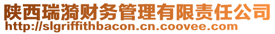 陜西瑞漪財務(wù)管理有限責(zé)任公司