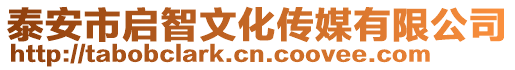 泰安市啟智文化傳媒有限公司