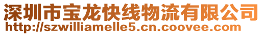深圳市寶龍快線物流有限公司