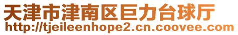 天津市津南區巨力臺球廳