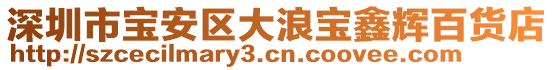 深圳市寶安區大浪寶鑫輝百貨店