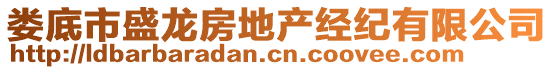婁底市盛龍房地產經紀有限公司