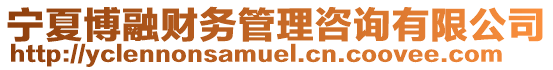 寧夏博融財務管理咨詢有限公司