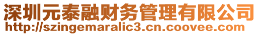 深圳元泰融財務管理有限公司