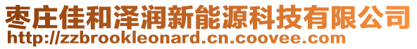 棗莊佳和澤潤新能源科技有限公司