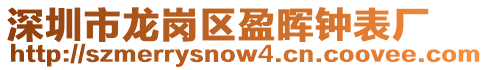 深圳市龍崗區盈暉鐘表廠