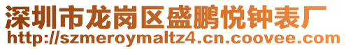 深圳市龍崗區盛鵬悅鐘表廠
