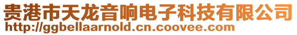 貴港市天龍音響電子科技有限公司