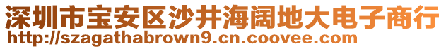 深圳市寶安區(qū)沙井海闊地大電子商行