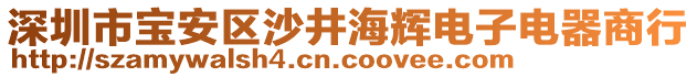 深圳市寶安區(qū)沙井海輝電子電器商行
