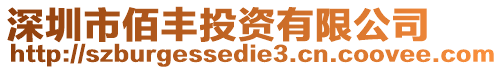 深圳市佰豐投資有限公司