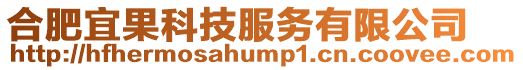 合肥宜果科技服務有限公司