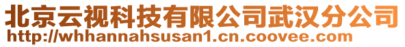 北京云視科技有限公司武漢分公司