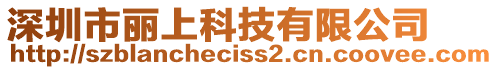 深圳市麗上科技有限公司