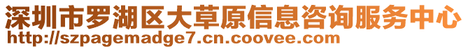 深圳市羅湖區(qū)大草原信息咨詢(xún)服務(wù)中心