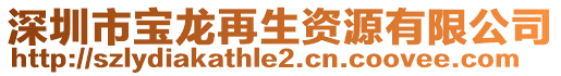 深圳市寶龍?jiān)偕Y源有限公司