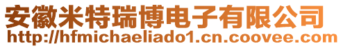 安徽米特瑞博電子有限公司