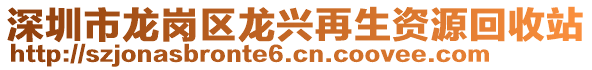 深圳市龍崗區龍興再生資源回收站