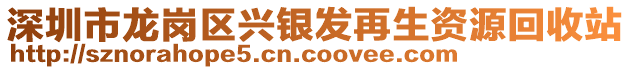 深圳市龍崗區(qū)興銀發(fā)再生資源回收站