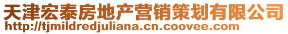 天津宏泰房地產營銷策劃有限公司