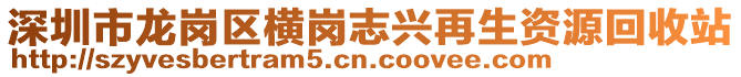 深圳市龍崗區(qū)橫崗志興再生資源回收站