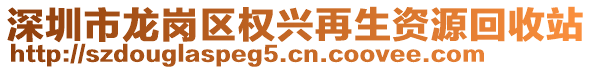 深圳市龍崗區(qū)權(quán)興再生資源回收站