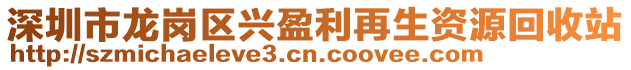 深圳市龍崗區(qū)興盈利再生資源回收站