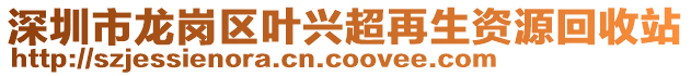 深圳市龍崗區(qū)葉興超再生資源回收站