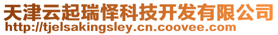 天津云起瑞懌科技開發有限公司