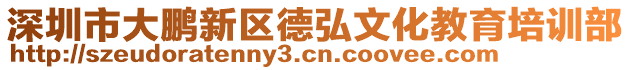 深圳市大鵬新區(qū)德弘文化教育培訓部