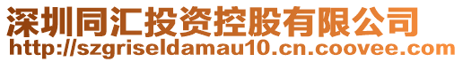 深圳同匯投資控股有限公司